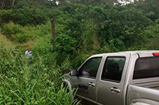 plant project1 image1