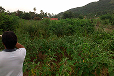 plant project1 image11