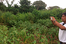 plant project1 image12