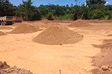 plant project1 image14