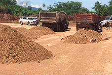 plant project1 image16