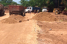 plant project1 image17