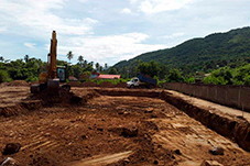 plant project1 image18