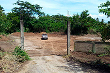 plant project1 image19