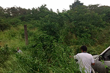 plant project1 image2