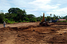 plant project1 image20