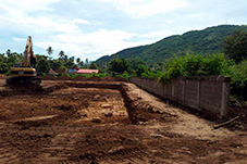 plant project1 image21