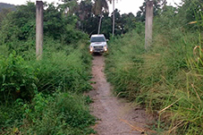 plant project1 image3