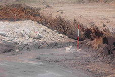 plant project1 image11