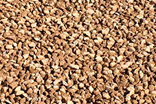 plant project1 image16