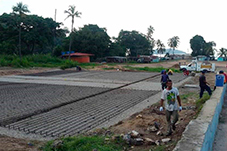 plant project1 image17