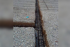 plant project1 image18