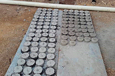 plant project1 image19