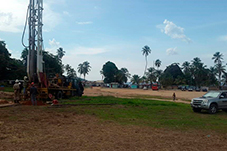 plant project1 image2