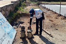 plant project1 image25