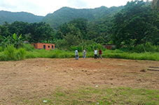 plant project1 image3