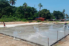 plant project1 image30