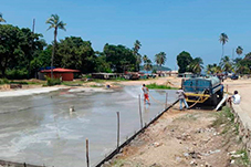 plant project1 image31