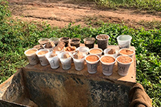 plant project1 image34