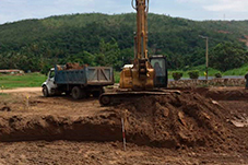 plant project1 image7