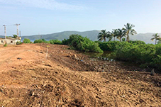 plant project1 image2