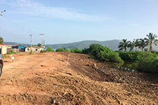 plant project1 image3