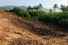 plant project1 image4