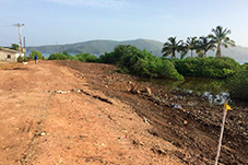 plant project1 image5