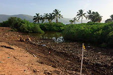 plant project1 image6