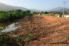 plant project1 image7