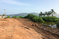 plant project1 image8